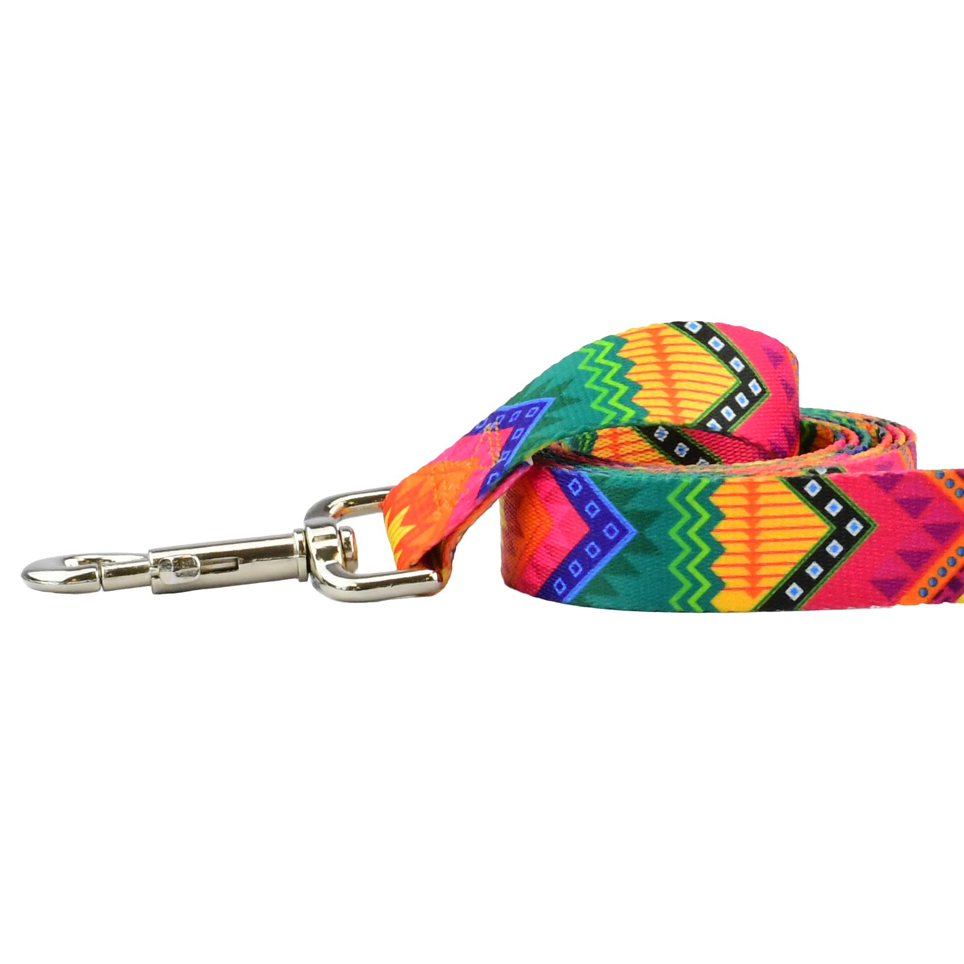 2 Hounds Design Keystone Dog Leash, Best Friends Forever, 1-in x 6-ft