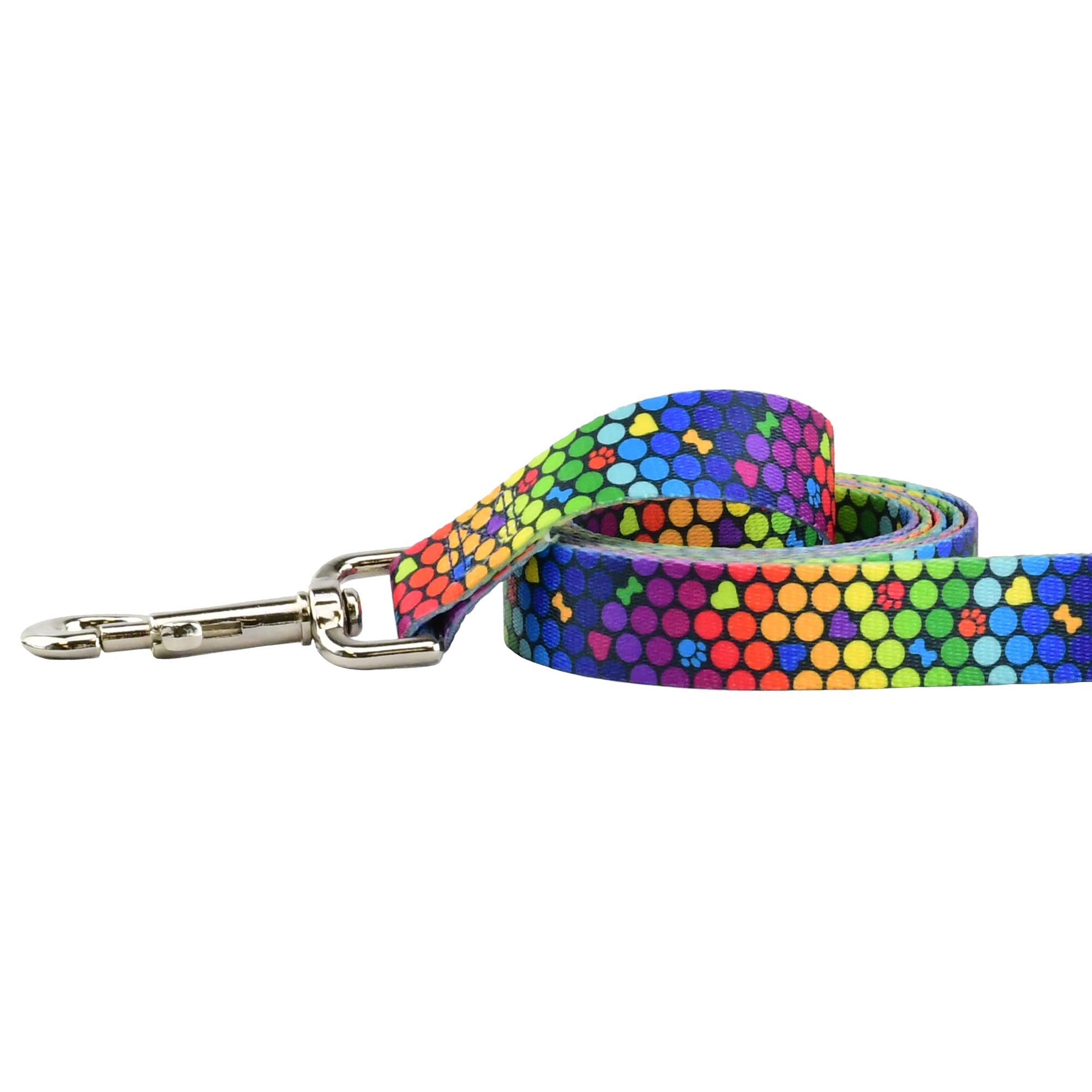 2 Hounds Design Keystone Dog Leash, ROY G BIV