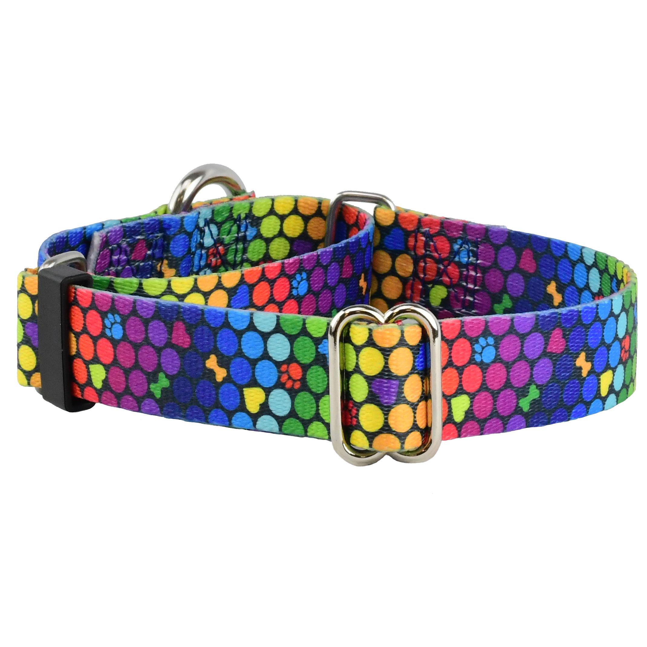 2 Hounds Design Martingale Dog Collar, ROY G BIV, 1-in x 14-18-in