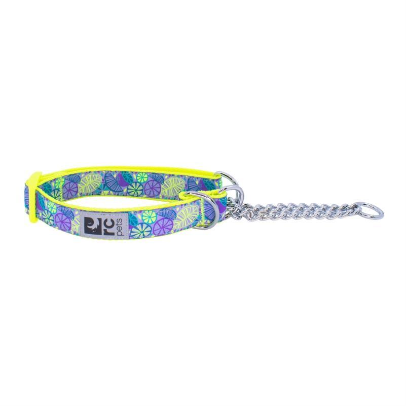 RC Pets Collier de dressage à motifs, Agrumes, très petit
