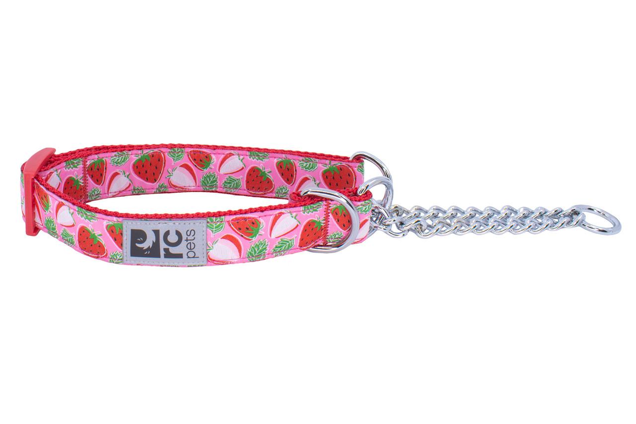 RC Pets Training Dog Collar, Strawberries, Medium