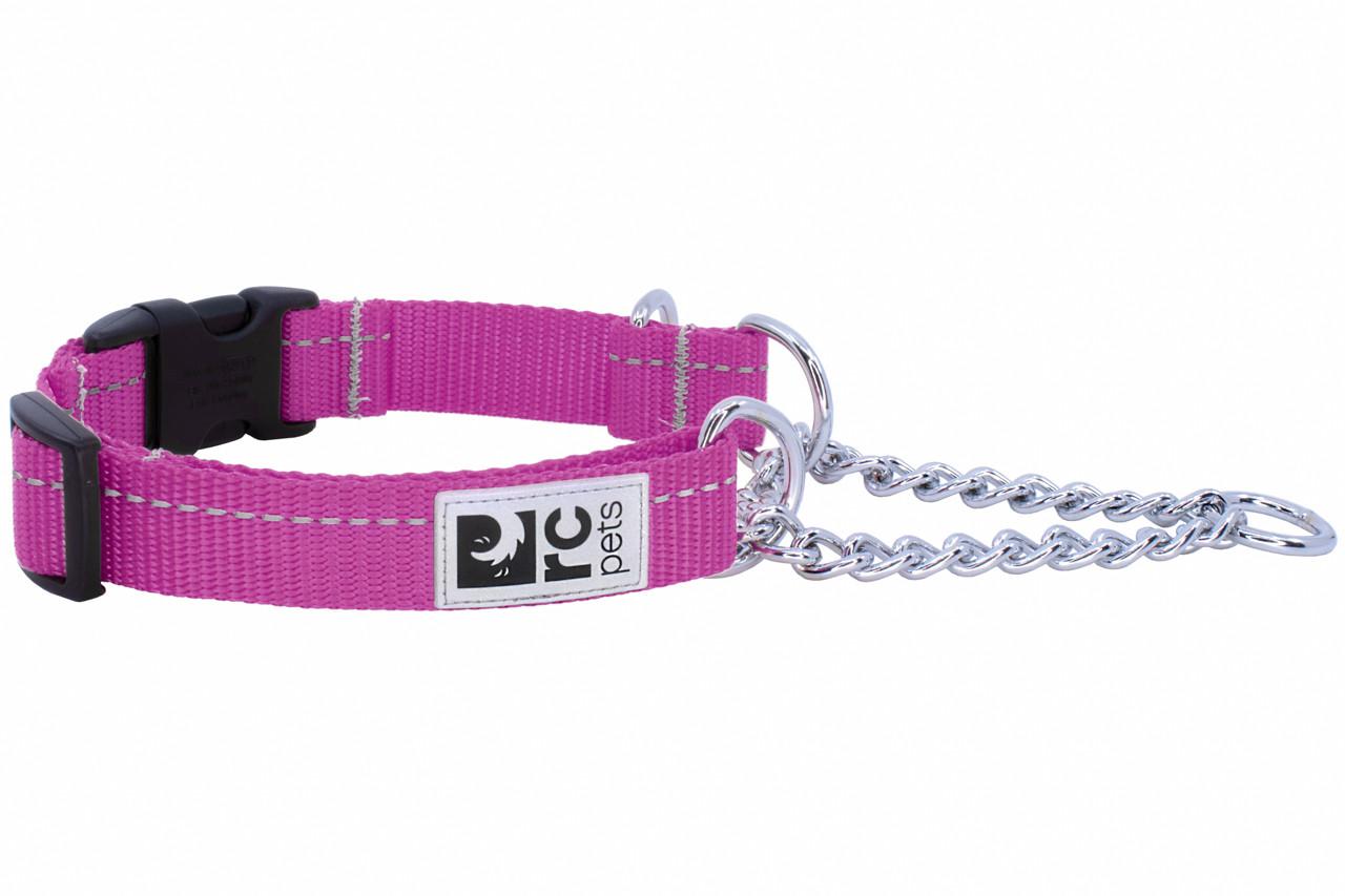 RC Pets Primary Training Clip Dog Collar, Mulberry, X-Small