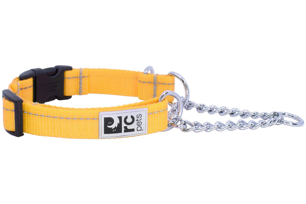 RC Pets Primary Training Clip Dog Collar, Marigold, Small