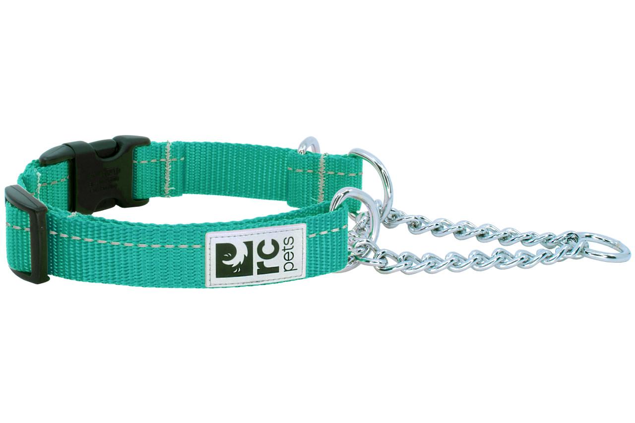 RC Pets Primary Training Clip Dog Collar, Parakeet, Large