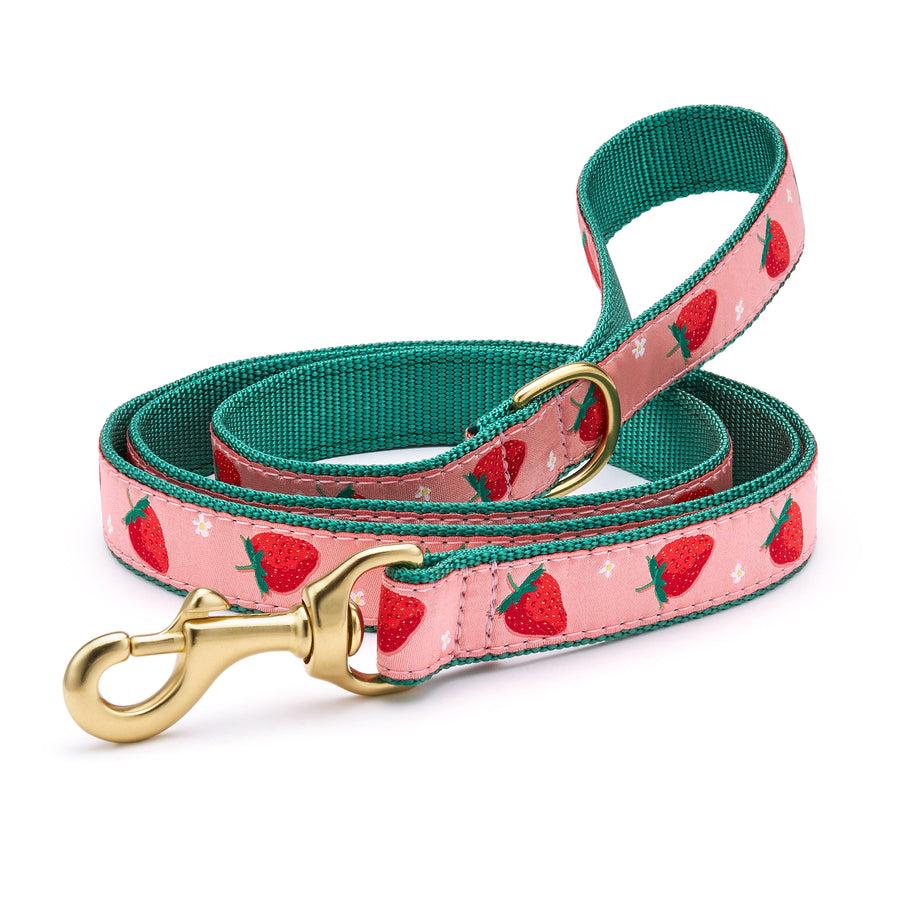 Up Country Dog Leash, Strawberry Fields, 1-in x 5-ft