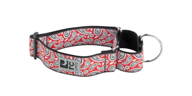 RC Pets All Webbing Training Dog Collar, Rebel Red, Large