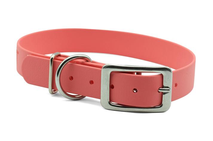 PACKT Ascent Classic Dog Collar, Coral