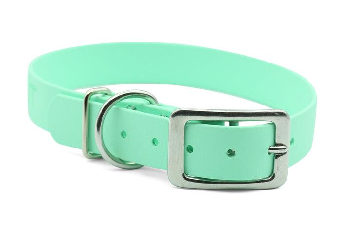 PACKT Ascent Classic Dog Collar, Sea Breeze
