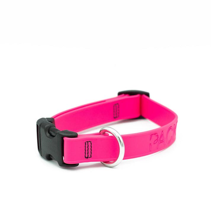 PACKT Endeavor Dog Collar, Watermelon