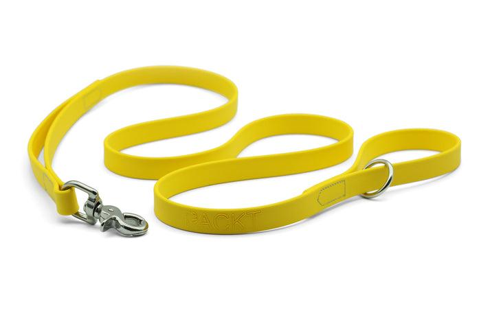PACKT Ascent Dog Leash, Lemon