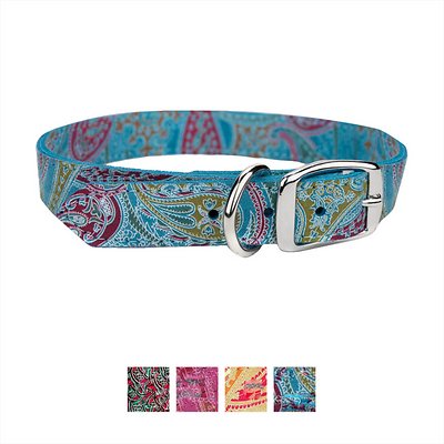Leather Brothers/OmniPet Paisley Leather Dog Collar, Turquoise, 14-in
