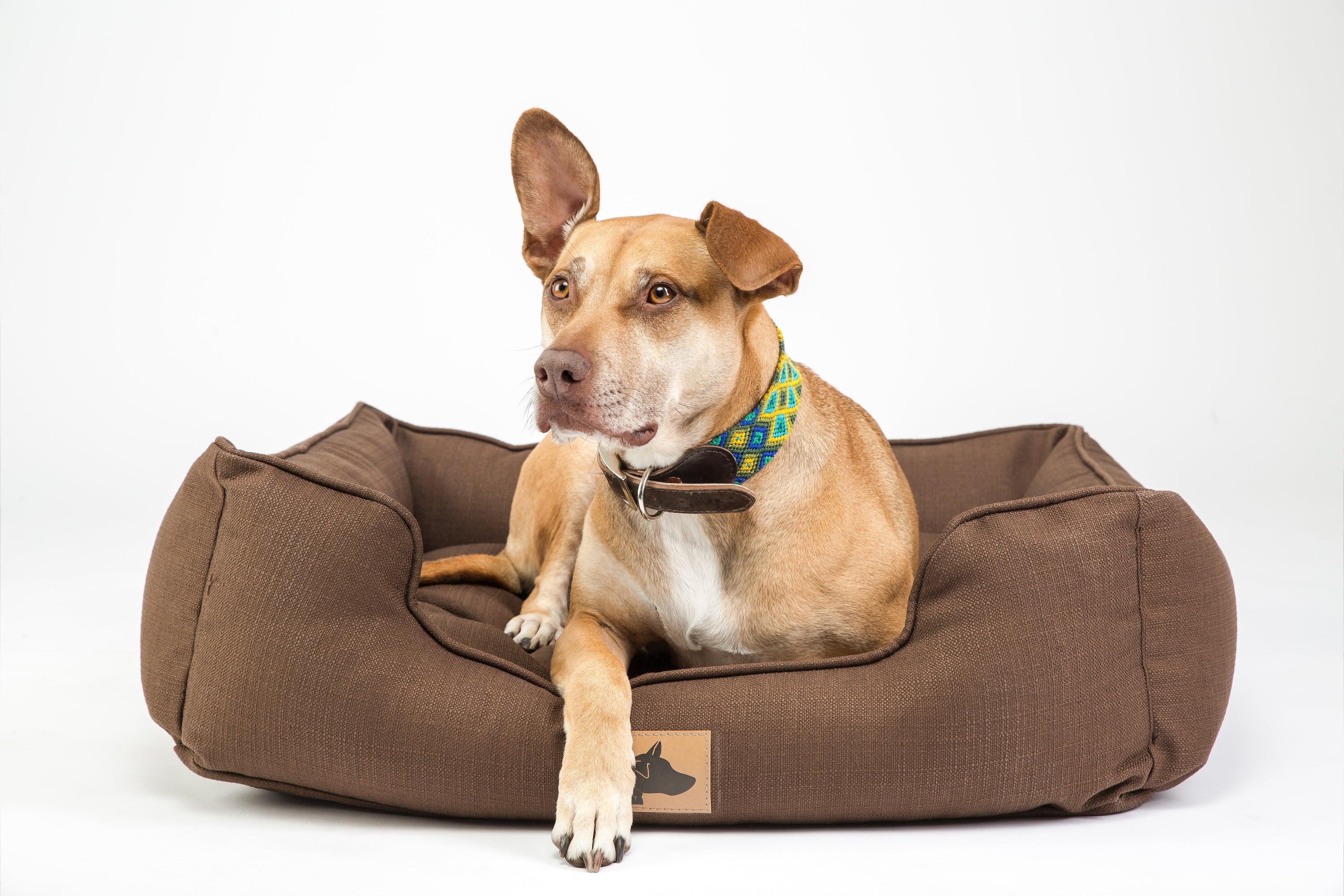 Roxbury Pet The Camden Cuddler Dog Bed, Olive-ish