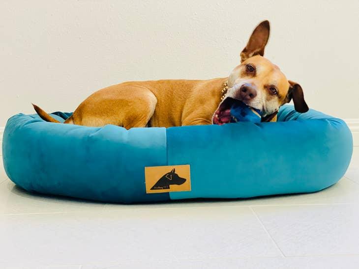 Roxbury Pet The Robertson Round Dog Bed, Peacock, Large