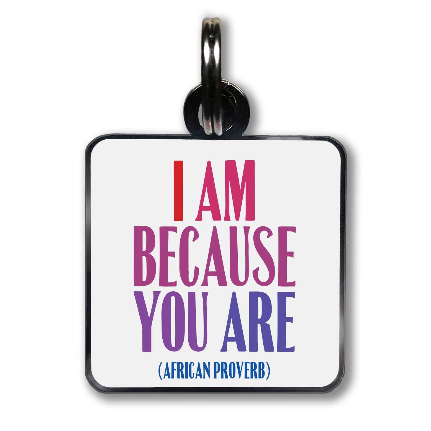 Quotable I am because you Pet Collar Charms