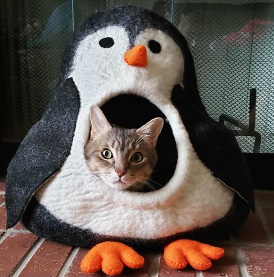 Dharma Dog Karma Cat Penguin Cave Wool Pet Bed
