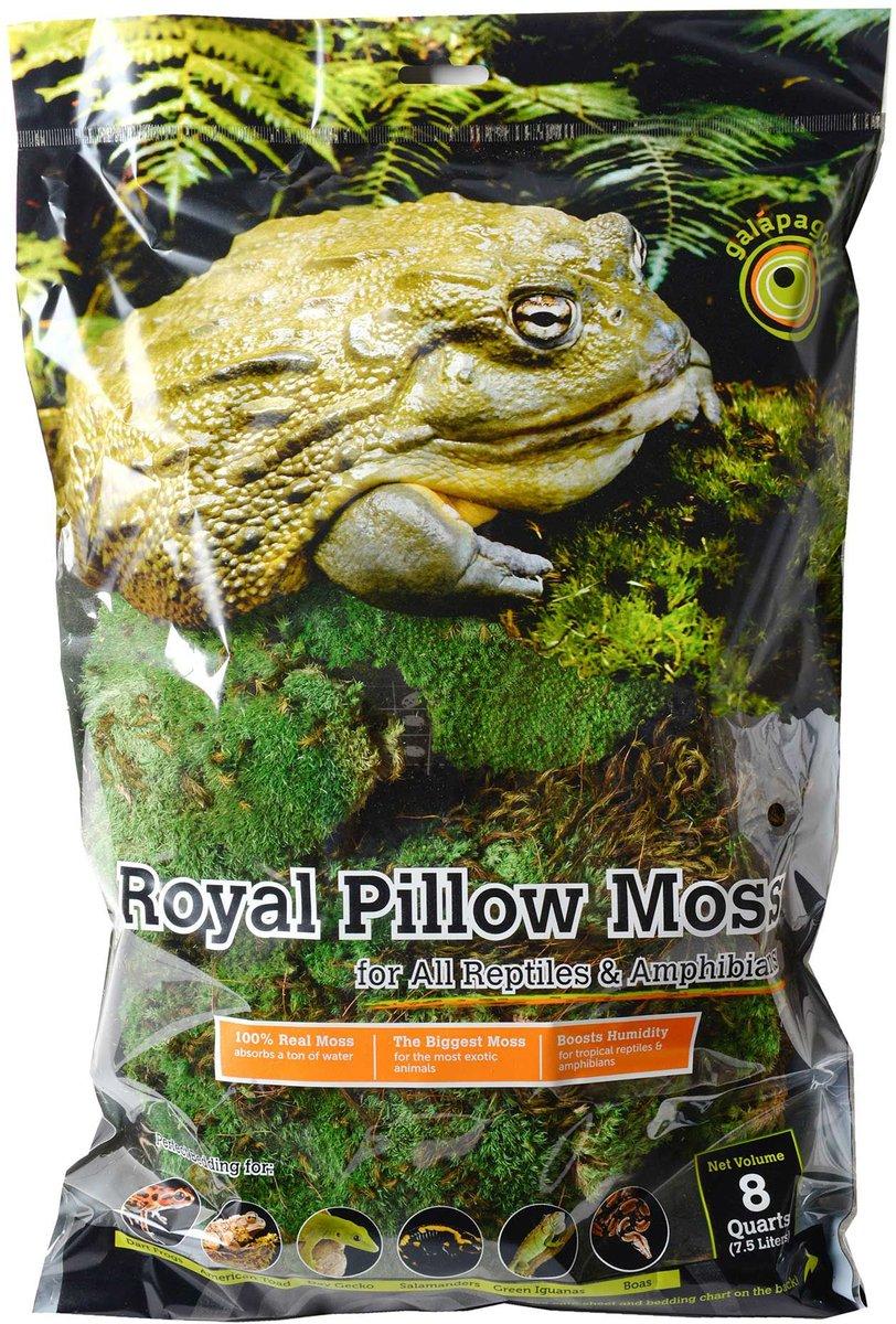 Galapagos Royal Pillow Moss for Terrariums, Fresh Green, 150-cu in