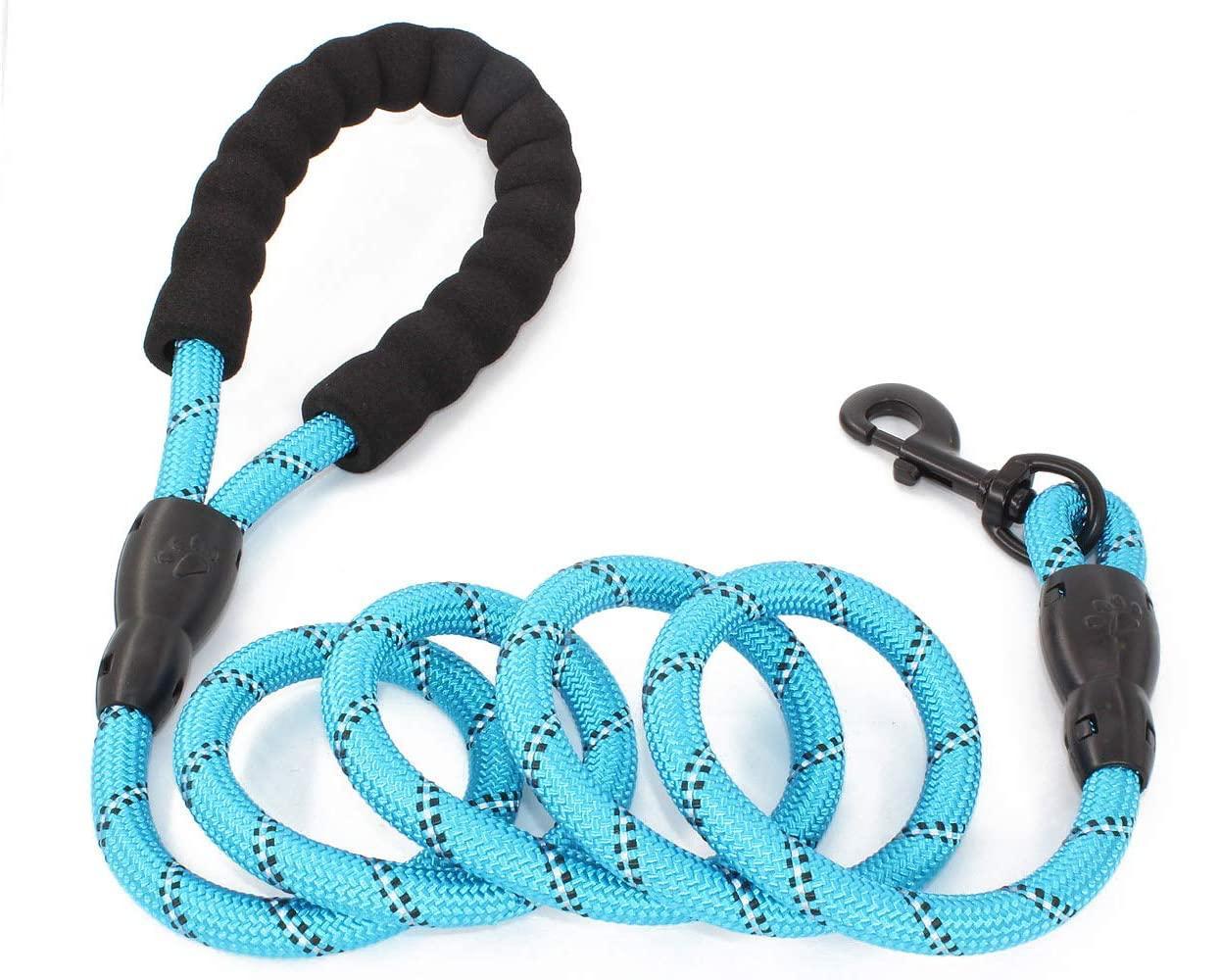 Doggy Tales Braided Rope Dog Leash, Blue