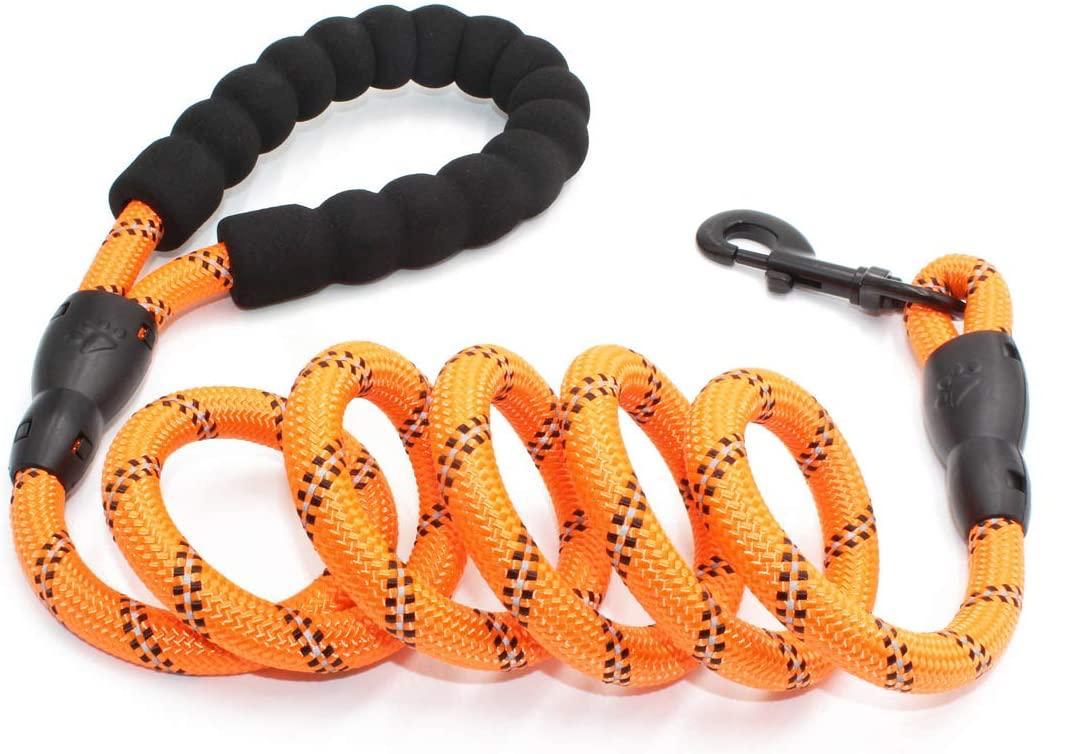 Doggy Tales Braided Rope Dog Leash, Orange, 5-ft