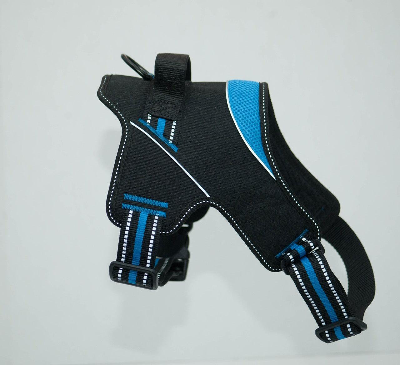 Doggy Tales Patented Hart Dog Harness, Blue, 60