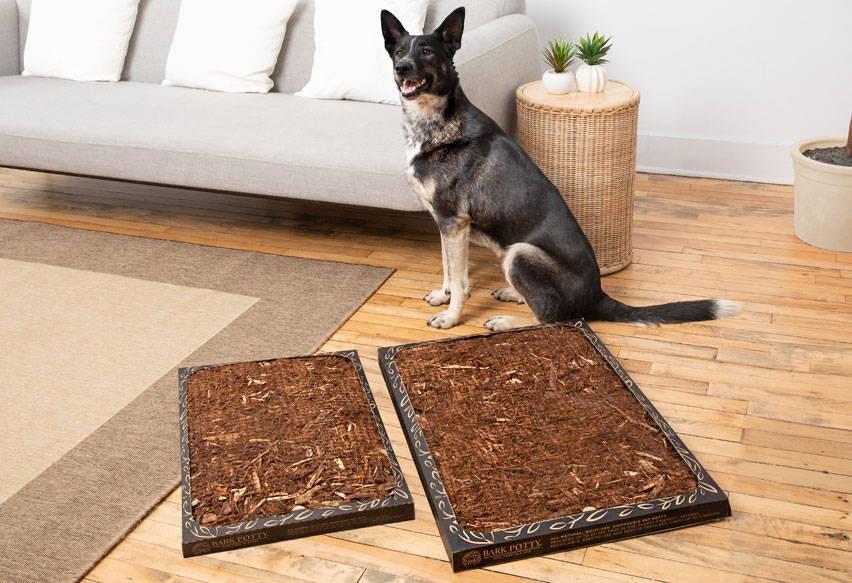 Bark Potty All-Natural Disposable Dog Potty Pad, Large, 20-in x 30-in