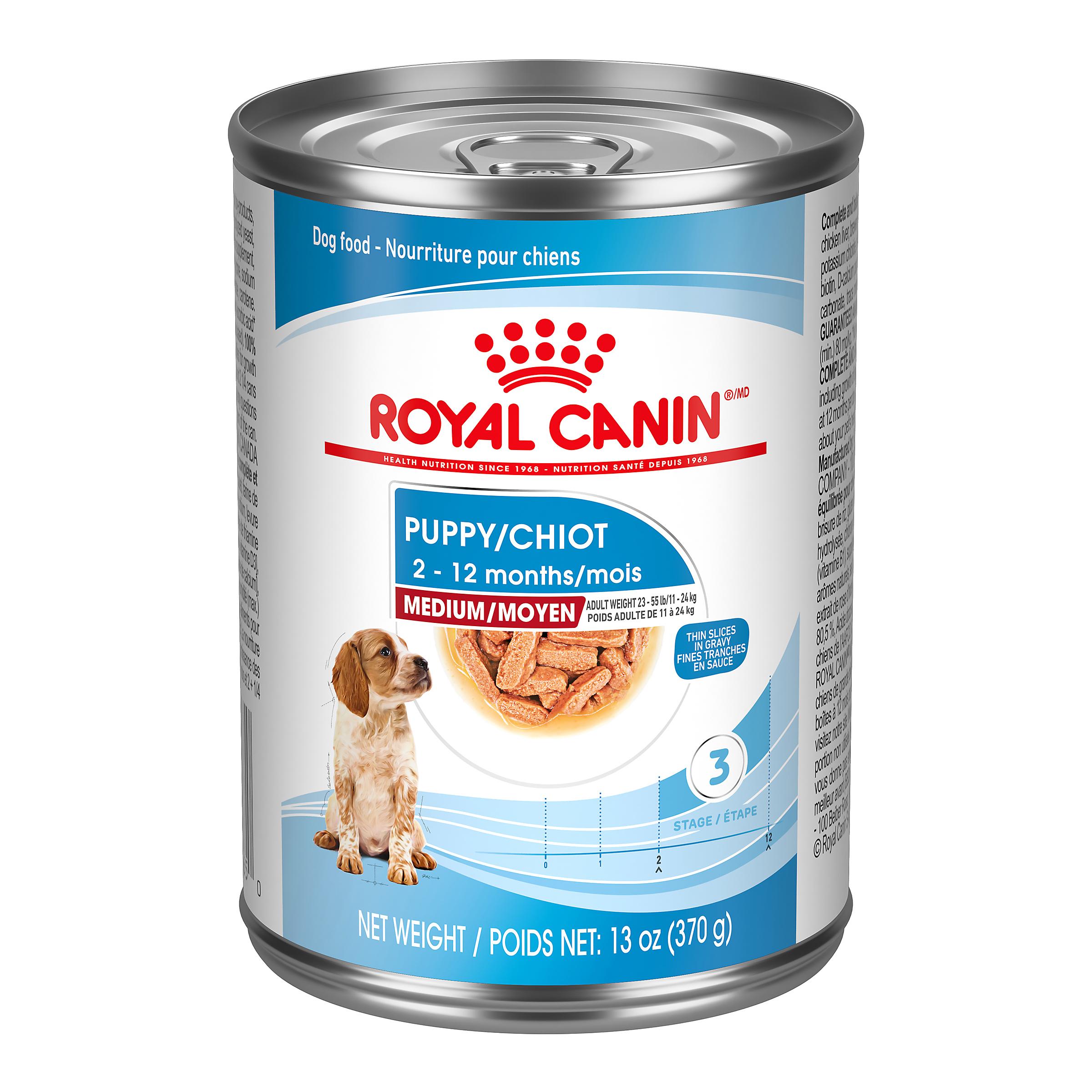 Royal Canin Canine Health Nutrition Medium Puppy Thin Slices in Gravy Wet Dog Food Can, 13-oz