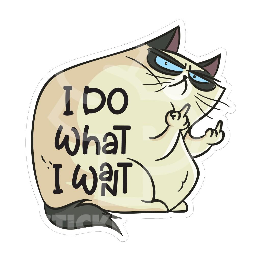 Sticker Pack Angry Cat Sticker, Small, 2-in