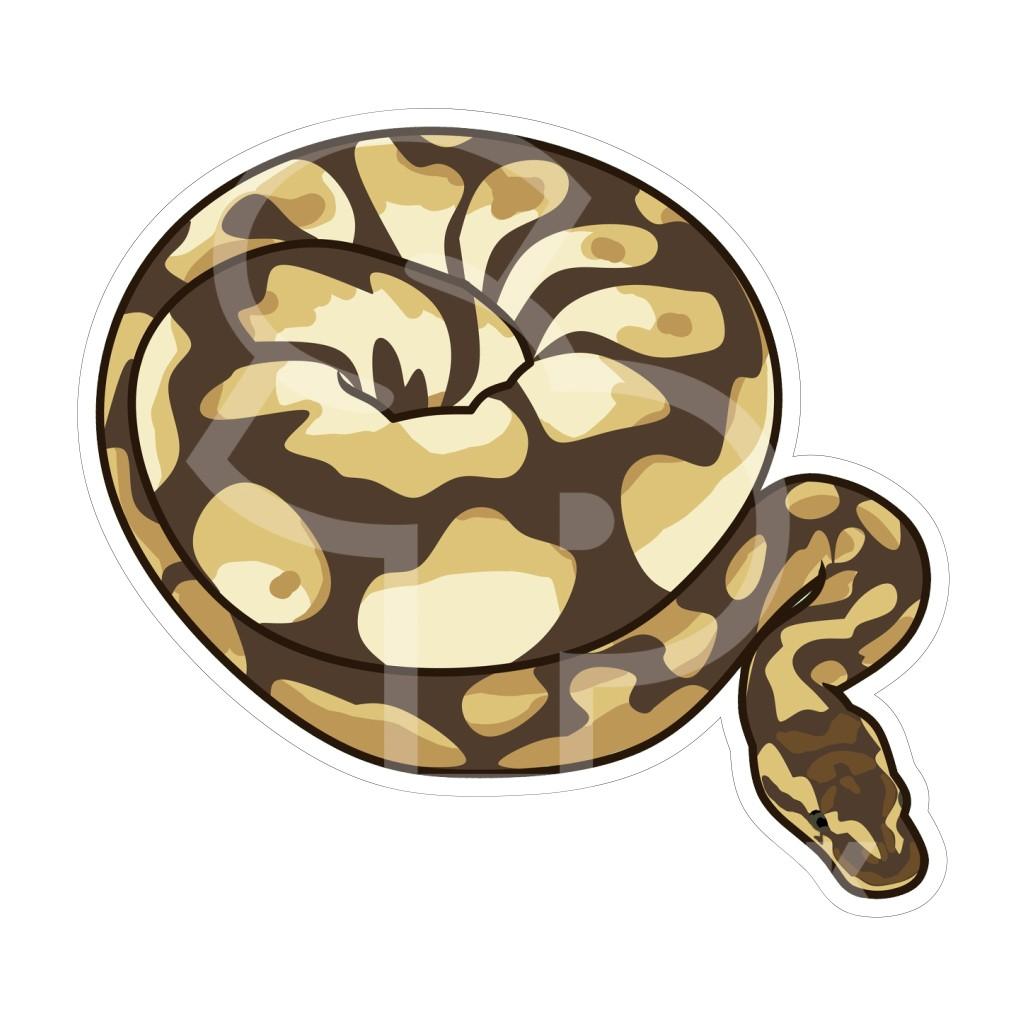 Sticker Pack Ball Python Sticker, Large, 4-in
