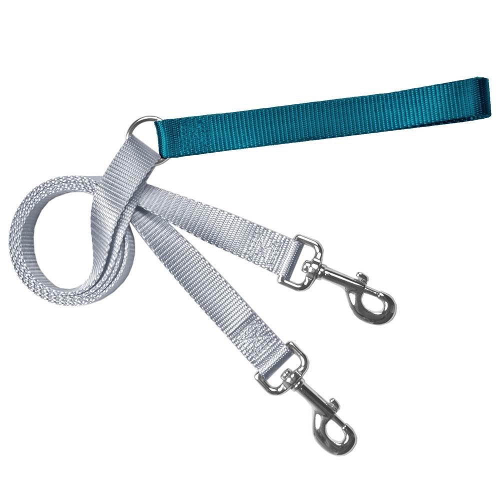 2 Hounds Design Double Connection Training Dog Leash, Teal, 1-in
