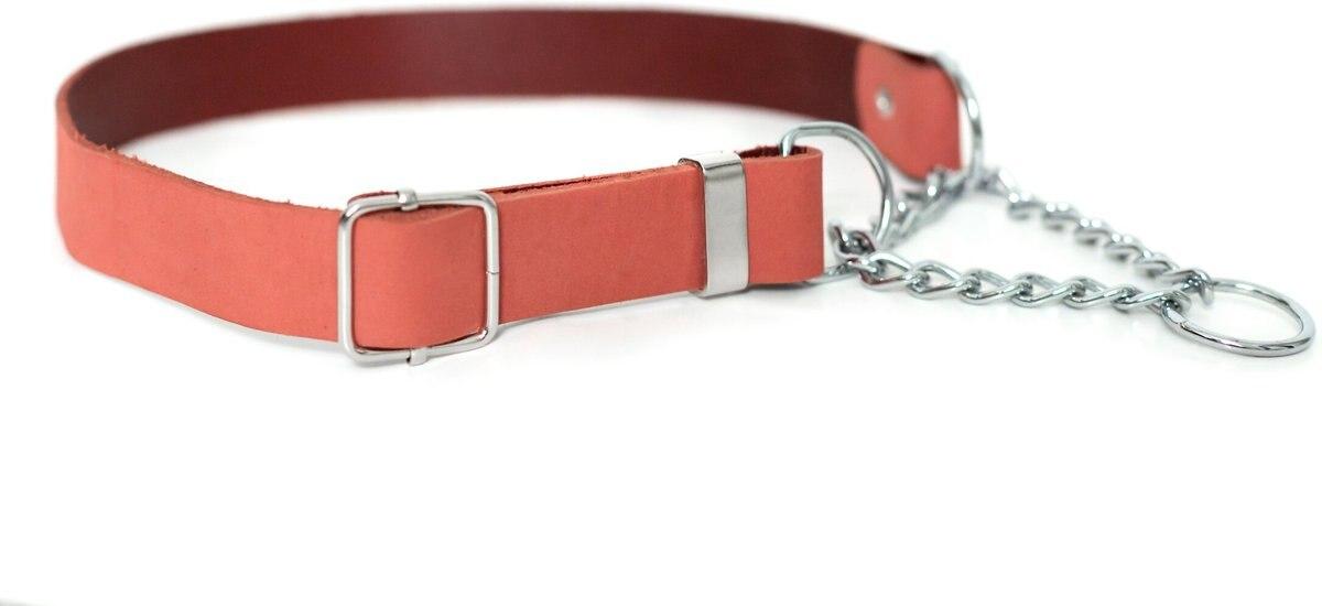 Euro-Dog Modern Leather Martingale Dog Collar, Coral Reef, Large