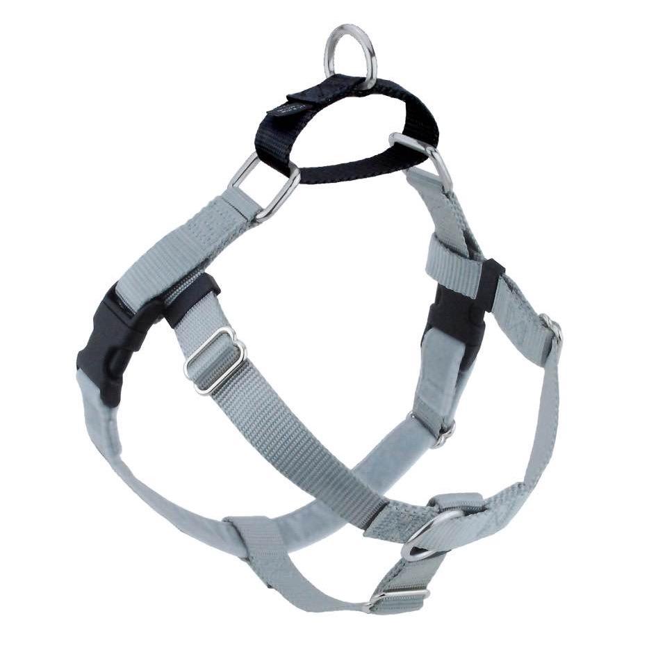 2 Hounds Design Freedom No-Pull Dog Harness, Silver, 1-in x 36-44-in