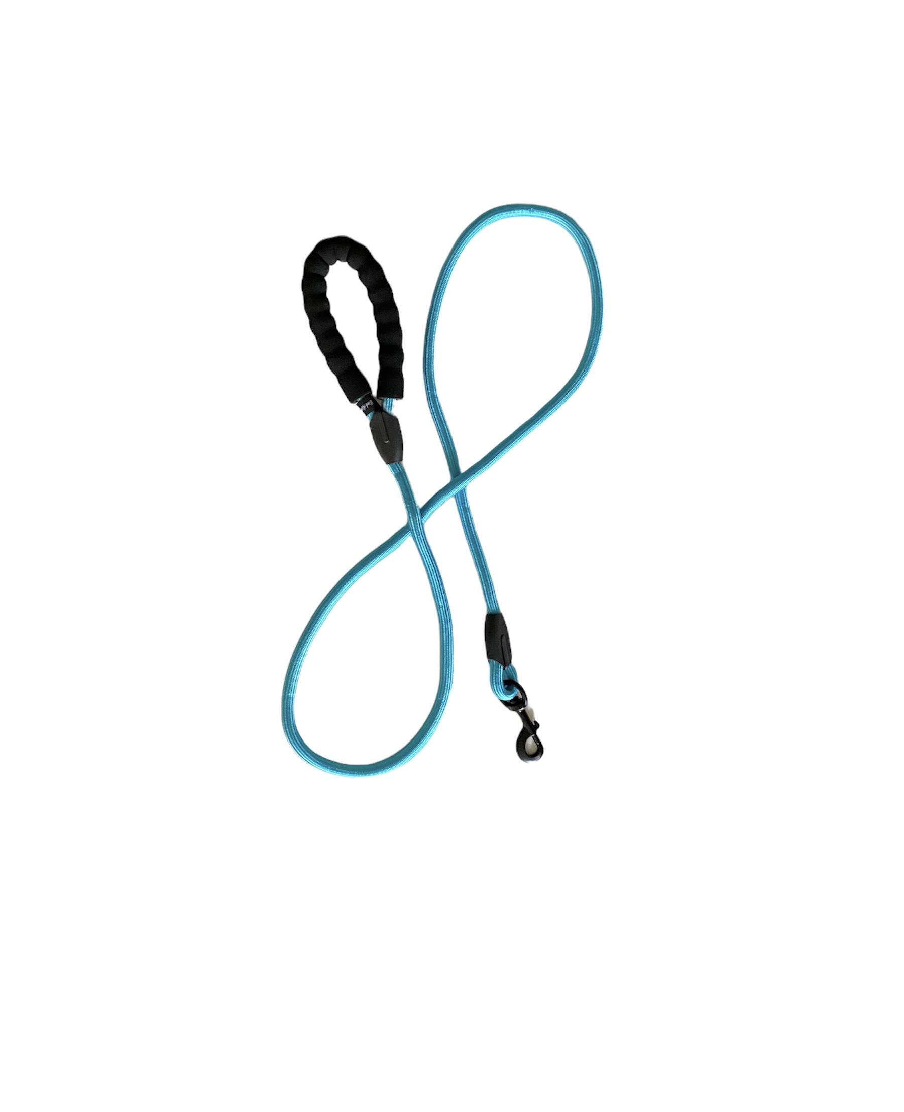 Bark Appeal Rope Dog Leash, Aqua Blue, 4-ft