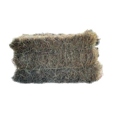Feeders Pet Supply Locally Grown Timothy/Mixed Grass Hay Livestock Feed