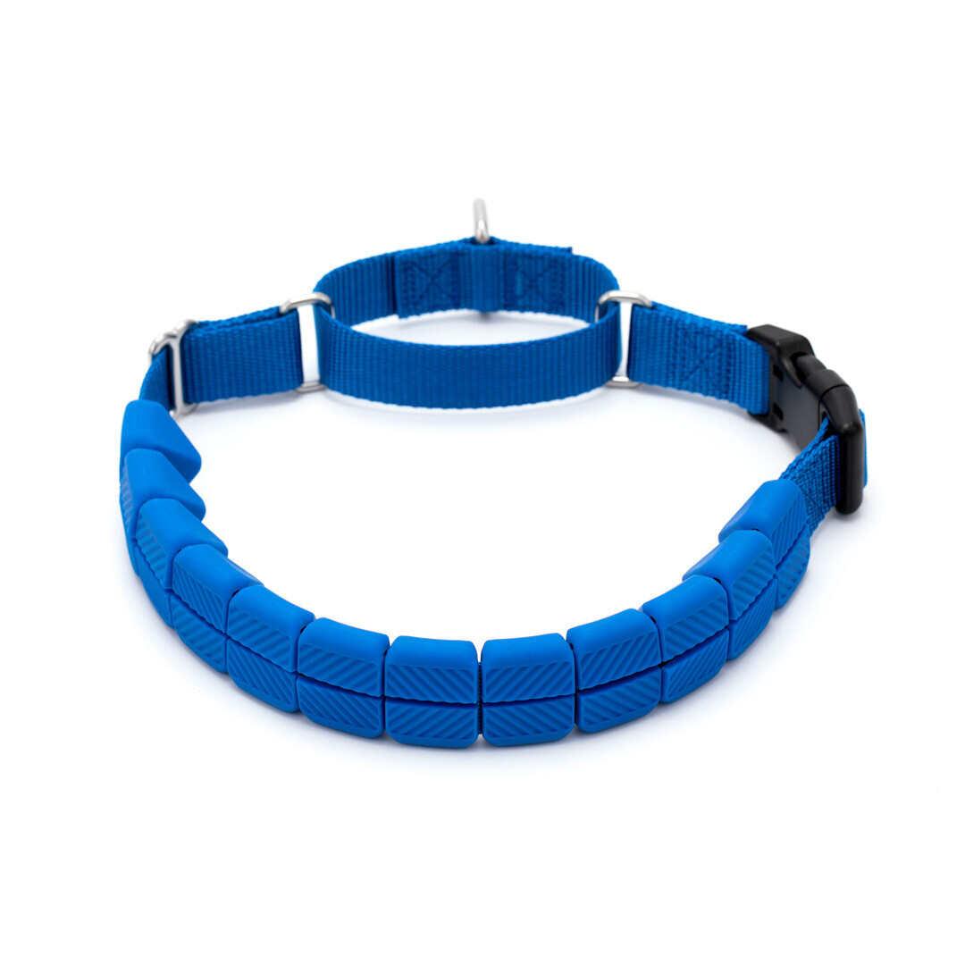 PetSafe Soft Point Training Dog Collar, Royal Blue, Large