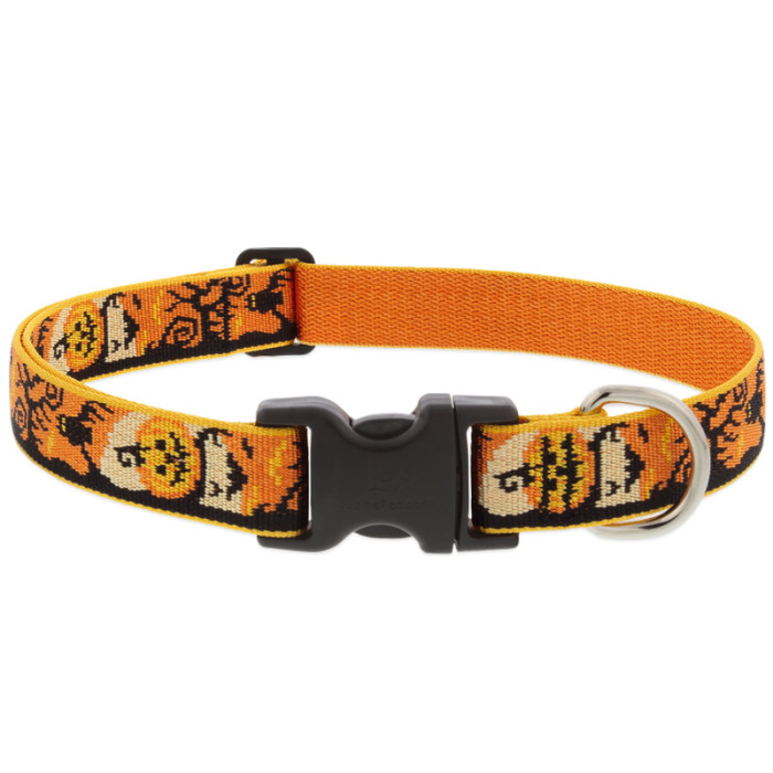Lupine Pet Adjustable Dog Collar, Spooky, 1-in x 16-28-in