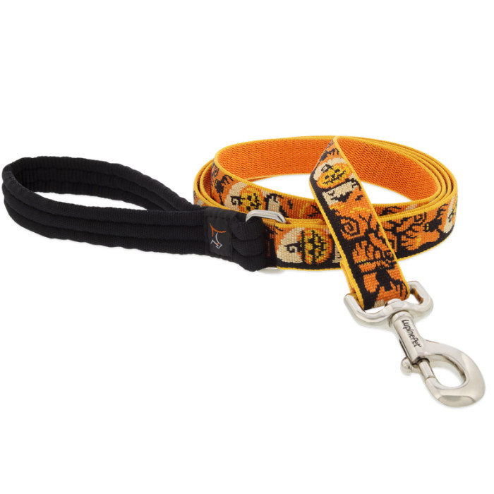 Lupine Pet Dog Leash, Spooky, 1-in x 6-ft