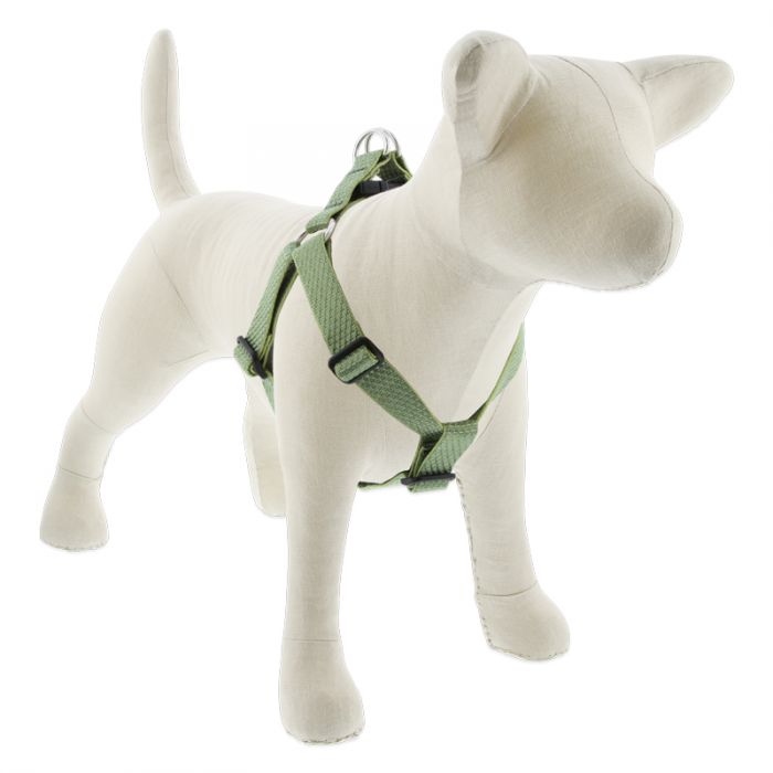 Lupine Pet Eco Step In Dog Harness, Moss, 1-in x 24-38-in