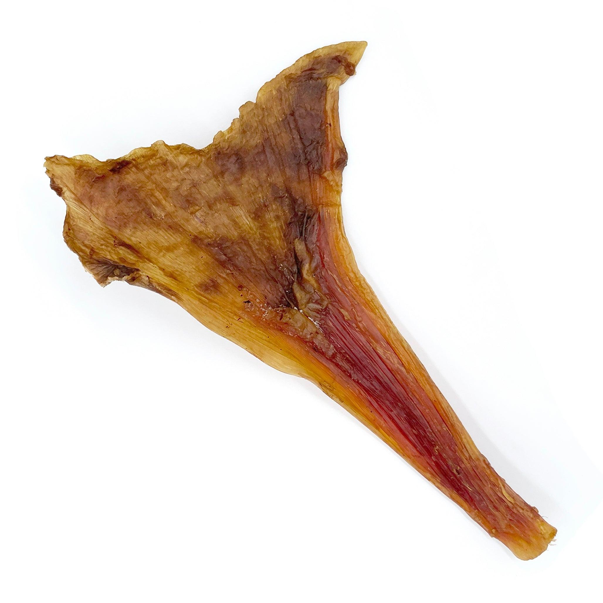 Tuesday's Natural Dog Company Ostrich Long Tendons Dog Treats