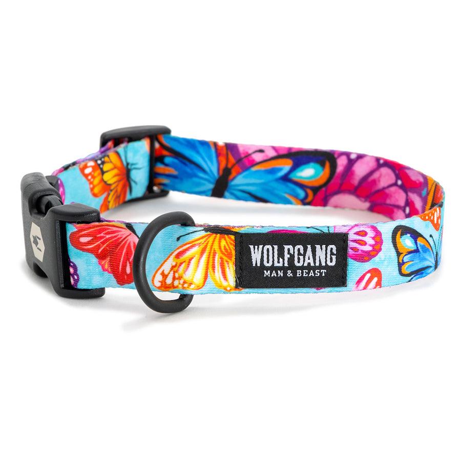 Wolfgang Dog Collar, FlutterColor