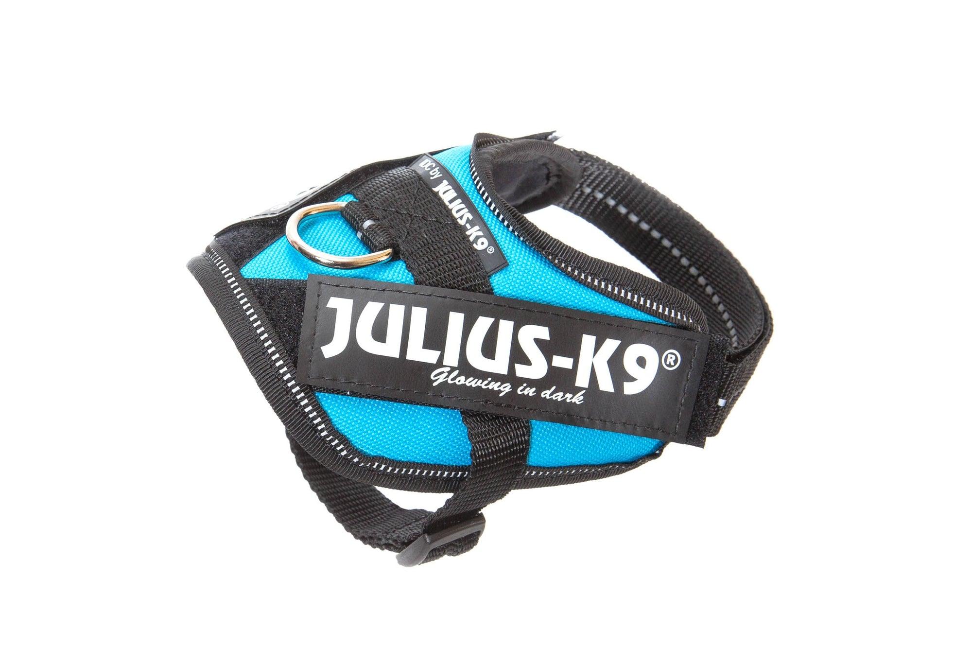 Julius-K9 IDC Powerharness Dog Harness, Aquamarine, Baby 1