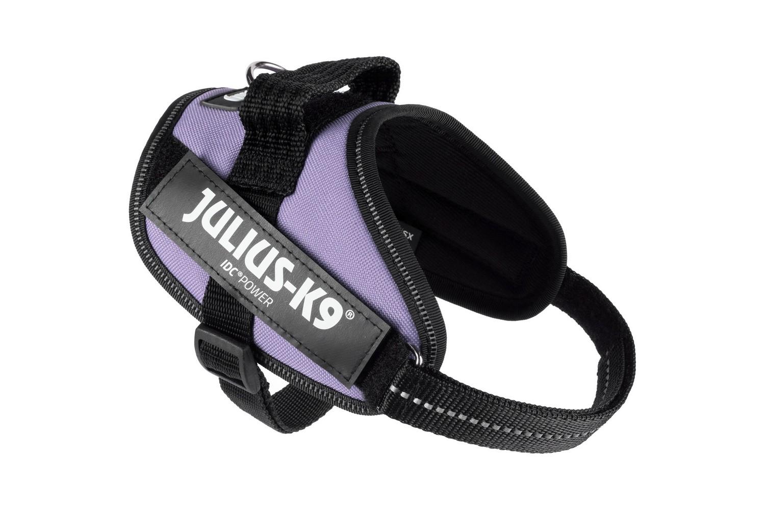 Julius-K9 IDC Powerharness Dog Harness, Purple, 1