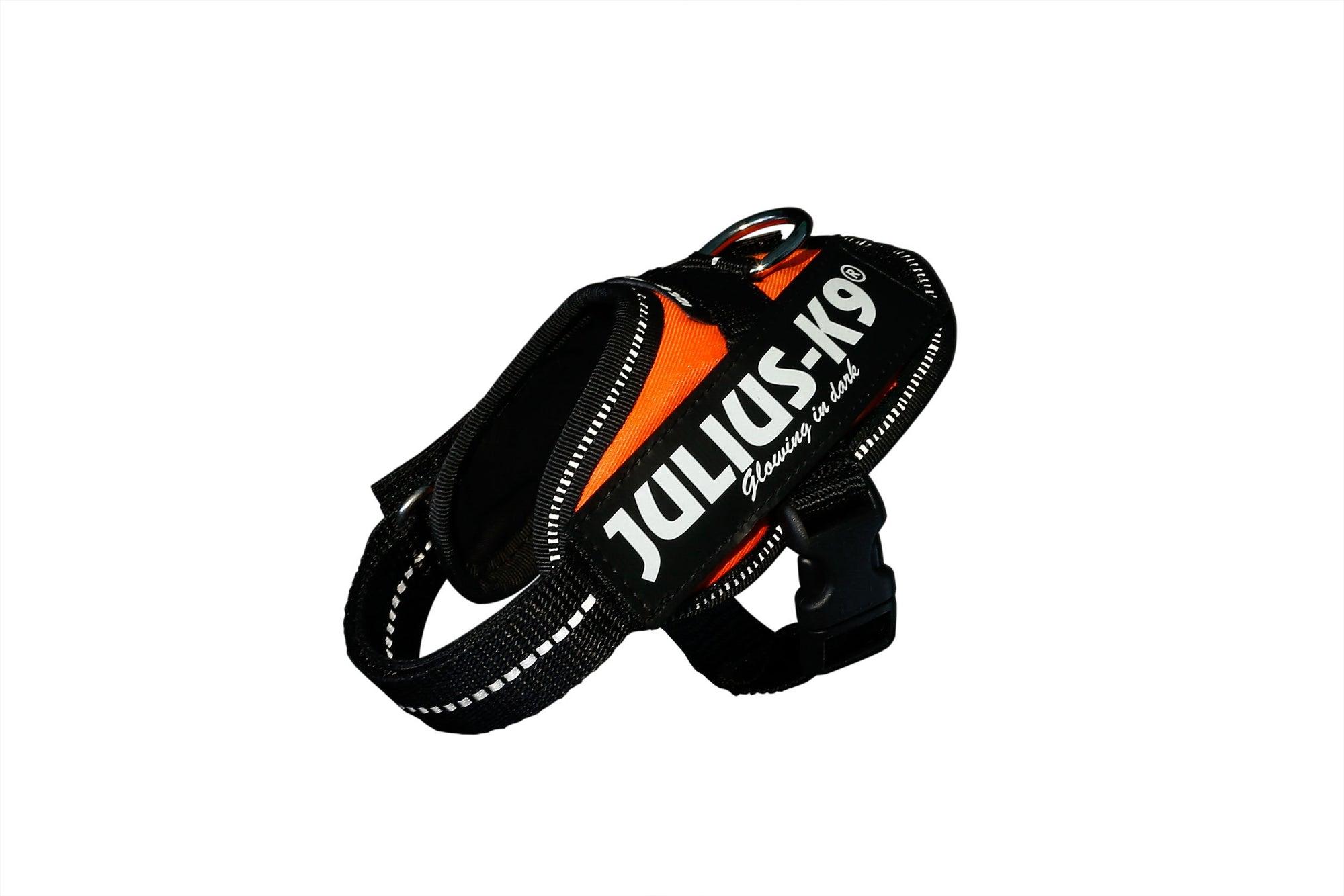 Julius-K9 IDC Powerharness Dog Harness, UV Orange, 2