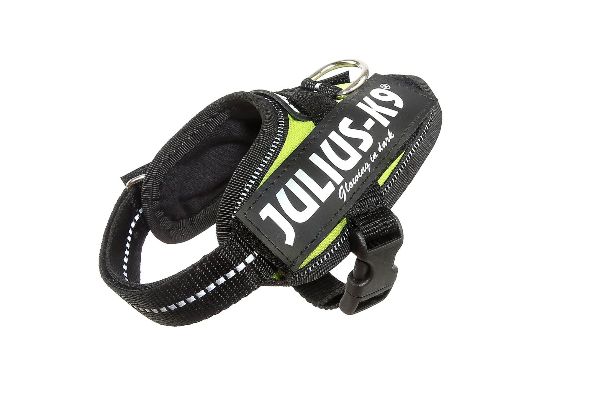 JuliusK9 IDC Powerharness Dog Harness, UV Neon Green, 2 Dexter's Your Local Pet Shop