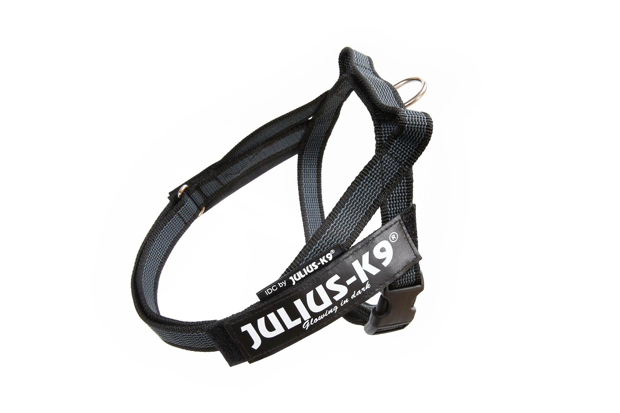 Julius-K9 IDC Color & Gray Belt Dog Harness, Black, 3
