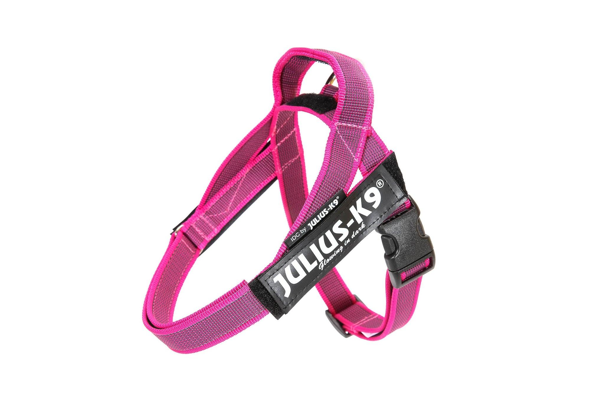 Julius-K9 IDC Color & Gray Belt Dog Harness, Pink, 0