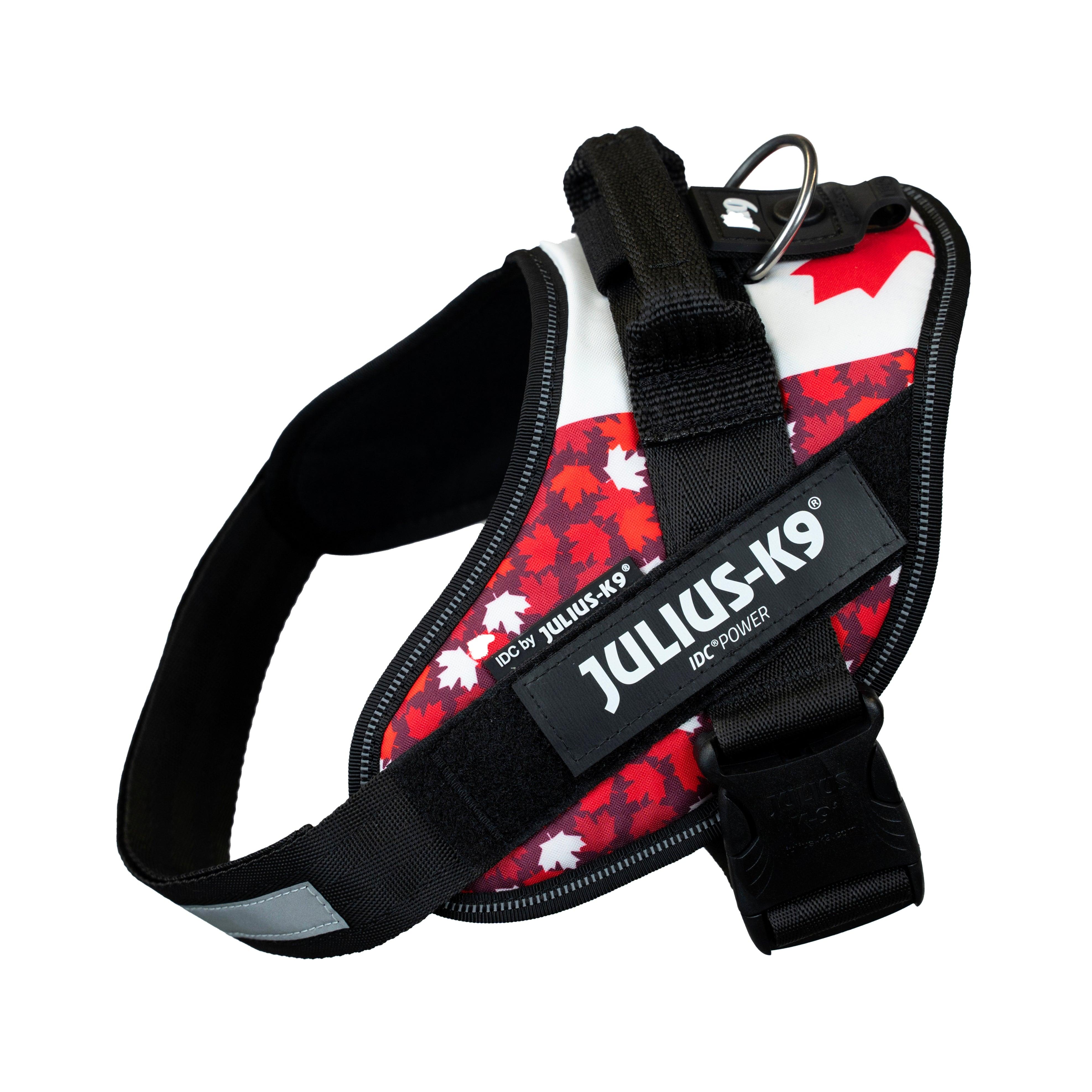 Julius-K9 IDC Powerharness Dog Harness, Canada Flag, Mini