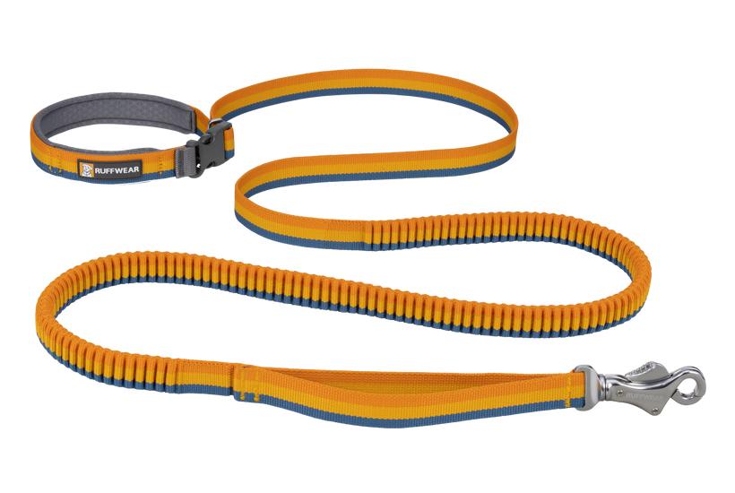 Ruffwear Roamer Bungee Dog Leash, Yellow Snow