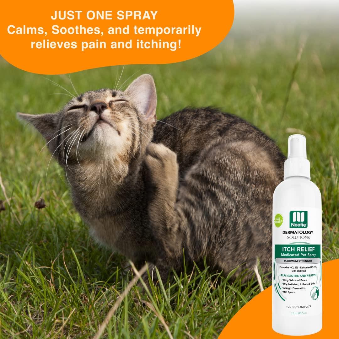 Nootie Medicated Itch Relief Spray for Dogs & Cats, 8-oz