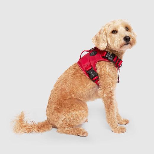 Canada Pooch Complete Control Dog Harness, Red, Large