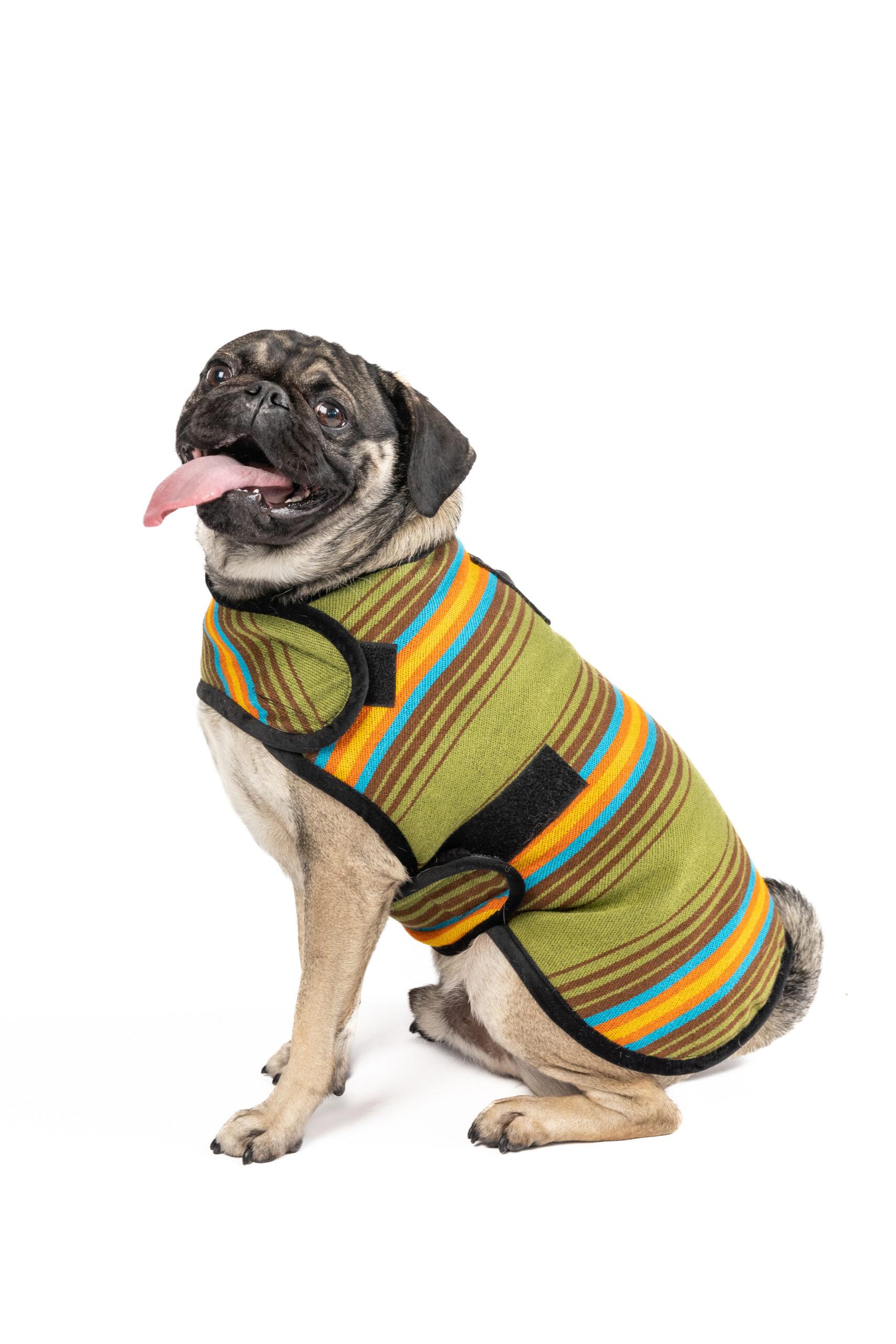 Chilly Dog Blanket Dog Coat, Camp Green, Medium