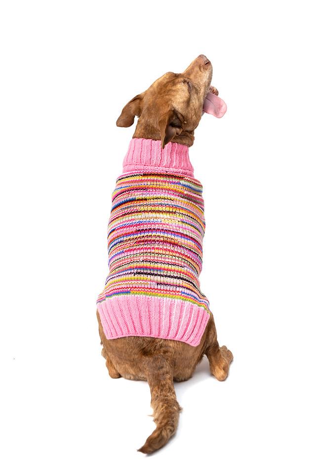 Chilly Dog Pink Multicolor Dog Sweater, X-Large